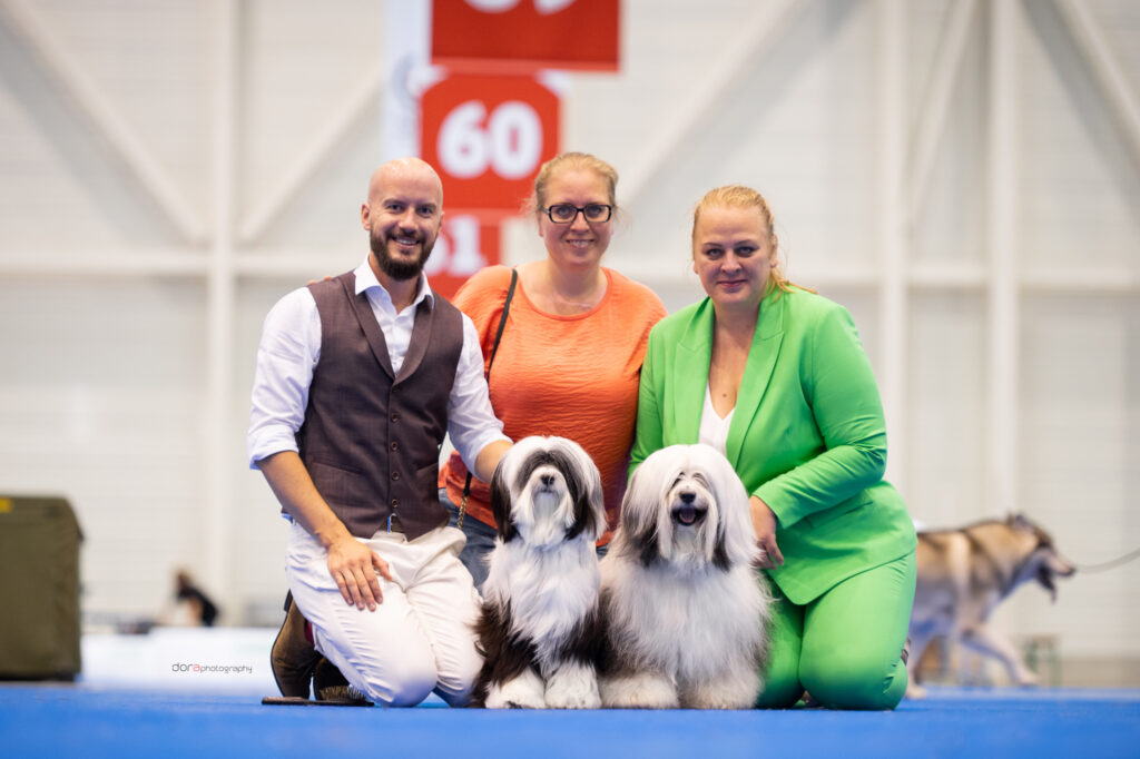 tibetan terrier tibetský teriér tibetsky terier way to rock kennel steniatka šteniatka fci skj arya rocky